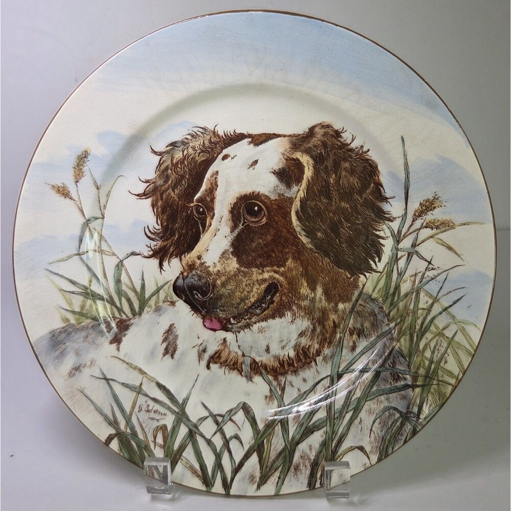 Antique Cauldon England Spaniel Portrait Dog Plate Transferware 10.5" Signed